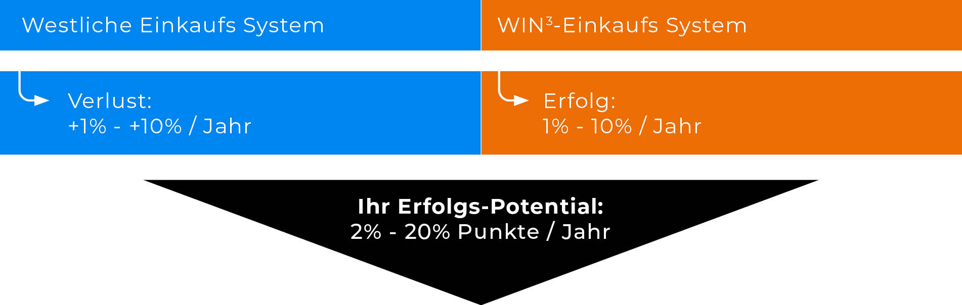 Der Strategische Einkauf von Welt-Klasse Unternehmen-Summary 6 Erfolgs Potential oTitel